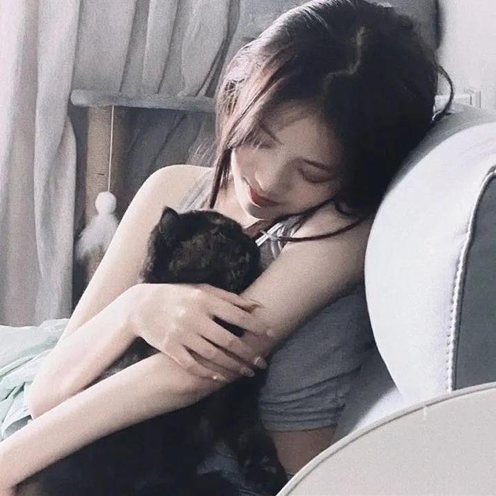 功夫灌篮 在线观看
